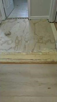 LifeProof Plus snap and click vinyl flooring Visnet Oak update and floor leveling