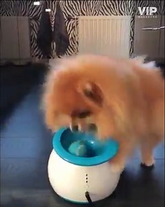 38 reactions · 20 shares | You dont have to spin to launch the ball...