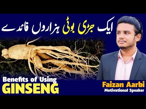 Ginseng Benefits | Powerful Herb for Energy, Immunity & Stress Relief