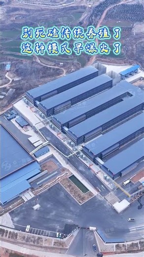 fully automatic chicken farm#automaticfarms #chicken #equipment #automobile #machinerychannel