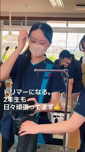 2年生グルーミング学科も頑張ってました まじめに学べる京都動物専門学校#トリマー #京都動物専門学校 #専門学校の日常
