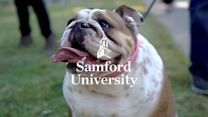 1.8K views · 55 reactions | Samford is more than a place... it's a feeling! How would you describe it? | Samford University | Facebook