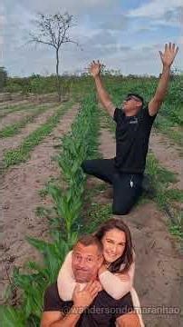 eu não gosto de faixa azul no jiu-jitsu #jiujitsu