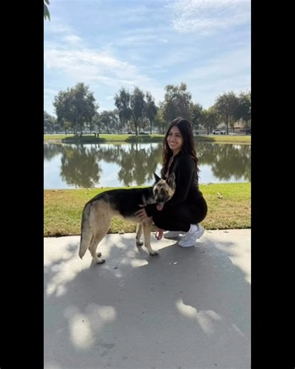 ️Georgina (and her kennelmate George) are HIGH PRIORITY! From Georgina’s chaperones via Facebook… “Today we spent the day with Georgina! She was such a sweet and gentle girl. She gives lots of kisses and loves cuddles. She walked well with the leash and enjoyed the park and also tends to go in between one’s legs and seems protective (in a good way). Georgina was super friendly with other dogs, she didn’t growl or bark. She was a shy girl at first but warmed up to us shortly after! She’s also 3 y