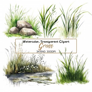 34 PNG GRASS Watercolor Clip Arts (300 Dpi, Commercial Use, Bundle, Digital, Illustration) Green Grass Border, Stones and Grass - Etsy