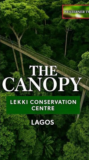 🌿 The Canopy Walkway at Lekki Conservation Centre | Africa’s Longest Canopy Walk 🌍