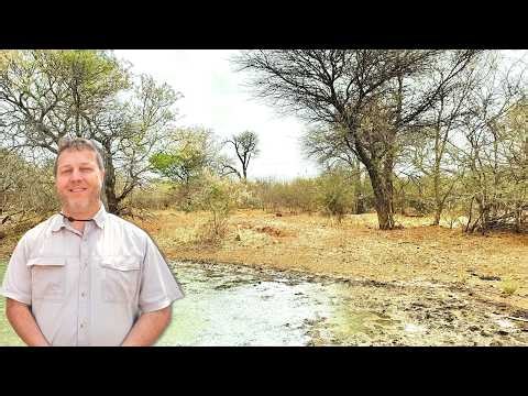 EKSKLUSIEWE gebruik en 25% aandeel in 468 ha Thabazimbi