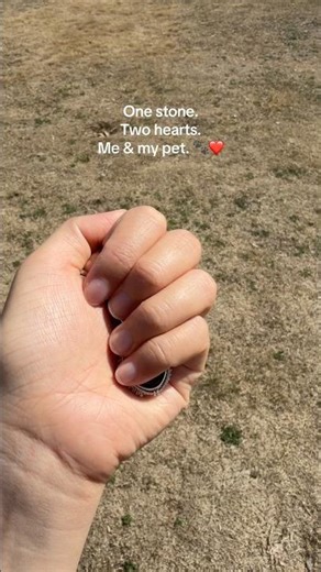 One Crystal. Split in Two. | Human & Pet Set