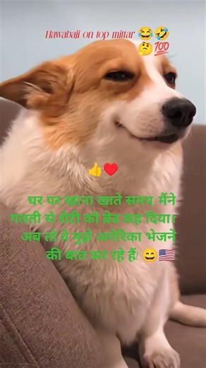 “Bas roti ko bread kya bol diy ghar walon ne America ka ticket hi confirm kar diy#motivation #funny