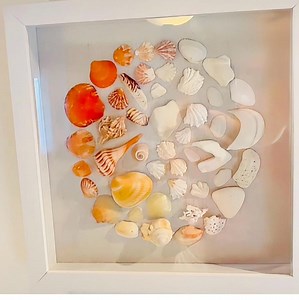 Handmade Seashell Shadow Box Art – Coastal Beach Decor (9x9) - Etsy