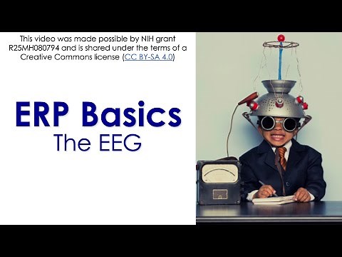 ERP Basics 1- The EEG