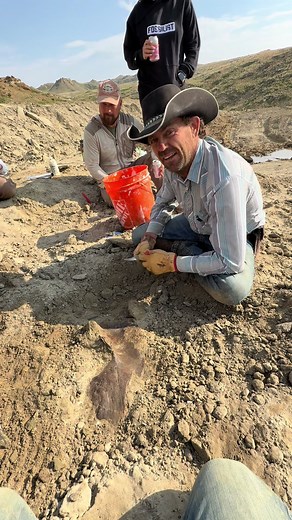 Incredible T. rex Tooth Discovery While Digging!