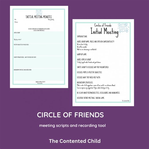 IN THE RESOURCE STORE CIRCLE OF FRIENDS INTERVENTION PACK The...