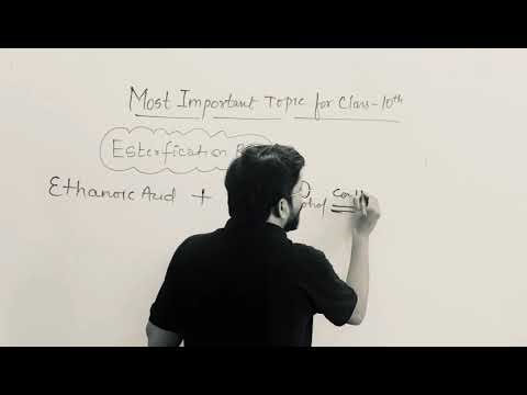 ESTERFICATION REACTIONS ✍️📚✍️