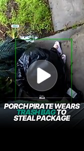 The feet were sticking out 😅 | Daily Mail Video