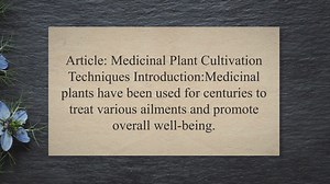 Medicinal Plant Cultivation Techniques
