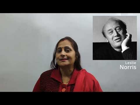 Don't Miss This Detail! A Tiger in the Zoo Class 10 Full Analysis & Poetic Devices | Leslie Norris