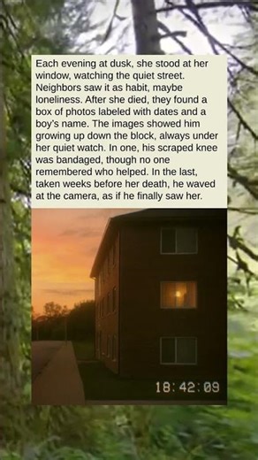 "The Window Watcher"