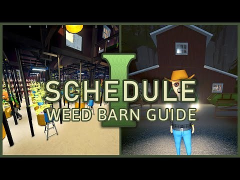 Quick Schedule 1 Barn Setup | Weed Operation Guide