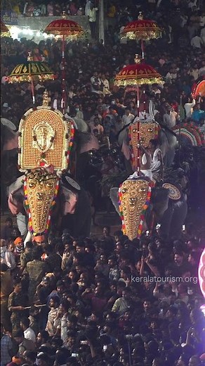 Pariyanampatta Pooram | Vibrant Temple Festival of Palakkad