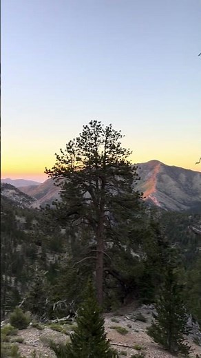 Mount Charleston Peak Trail – Scenic Outdoor Journey #Adventure