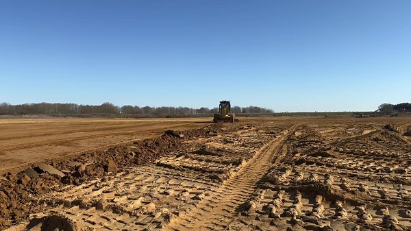 CAT Grader: Results You Can't Miss!