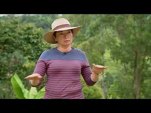 fertilización con lixiviado de lombriz - La Finca de Hoy