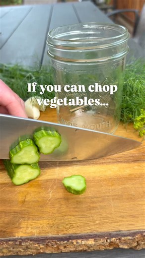 Abby • Cultivating Roots | Probiotics you can make! 👇 From probiotic-packed veggies to hot sauce, salsa, and gut-friendly dips, these are the fermentation recipes I... | Instagram