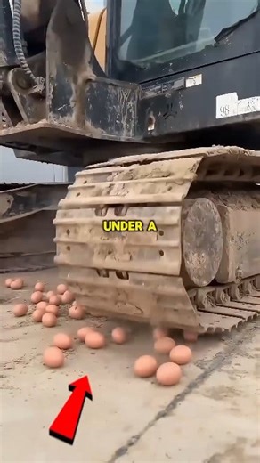 Unbreakable Eggs! 😱😳🥚 #unbreakable #interestingfacts #viral | Infinite Universe