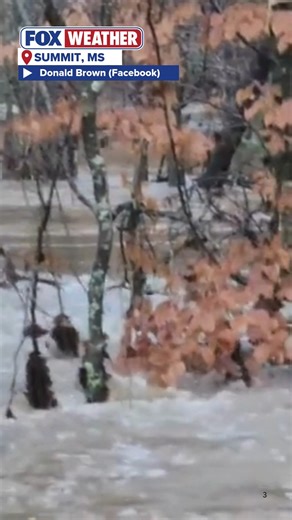 MISSISSIPPI RAIN: Video captures flooding in Summit, MS, on Saturday as severe storms battered the state with heavy rain and damaging winds. The storms triggered at least three tornadoes in the state, according to the National Weather Service. #mississippi #flooding #severestorms #foxweather | FOX Weather
