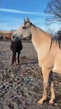 Charlotte is 300 days pregnant with her very first baby