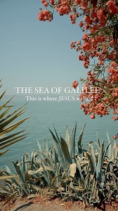 278K views · 237 reactions | JESSUS walked here on the waters of the...