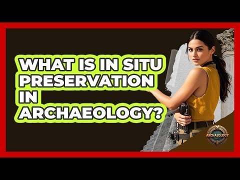 What Is In Situ Preservation In Archaeology? - Archaeology Quest