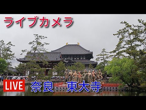 ライブカメラ 奈良 東大寺