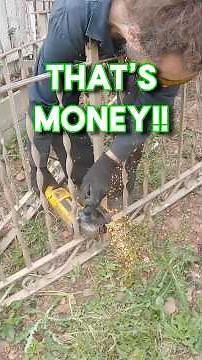 Scrap Metal Dumpster Diver - Let's Turn It Into Money! #scraper #recycling #scrapmetal