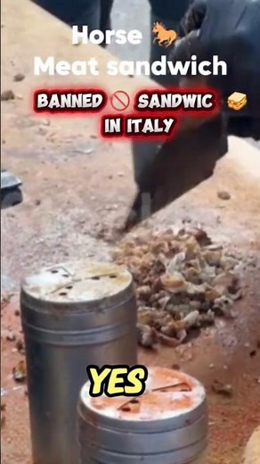 Horse meat sandwich banned 🚫#food #usastreetfood #bannedfoods