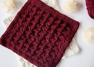 Beginner Decorative Crochet Potholders