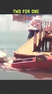 Boating fails at the docks 🚤😭 | FailArmy