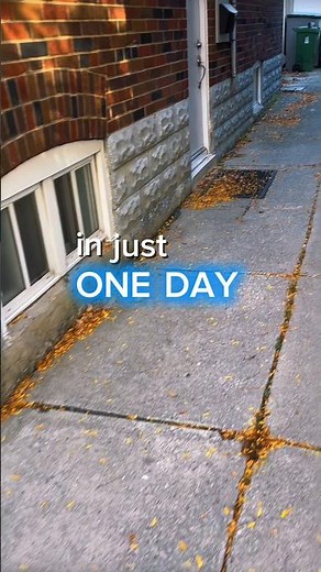 Waterproof your basement in just ONE DAY! 🏠💧