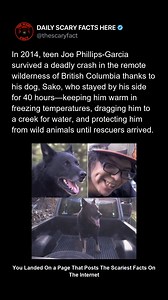 In 2014, teen Joe Phillips-Garcia survived a deadly crash in the remote wilderness of British Columbia—only because of one creature: his dog Sako. Joe was badly injured, stranded for 40 hours in freezing temperatures, unable to walk and slipping in and out of consciousness. Sako stayed pressed against him to keep him warm. When Joe begged for water, Sako dragged his broken body through the dirt to a creek. When wild animals approached, the dog stood guard and chased them off. By the time rescuer