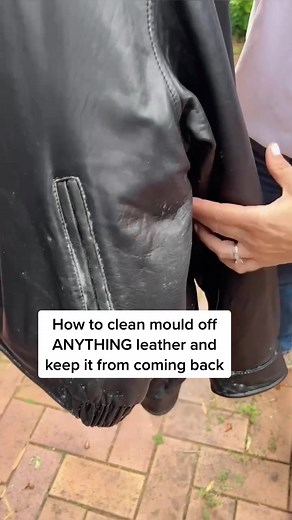 How to Clean Mold Off Leather and Prevent Regrowth