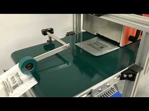 HFS-2000 Horizontal Feeding System for pouches and bags