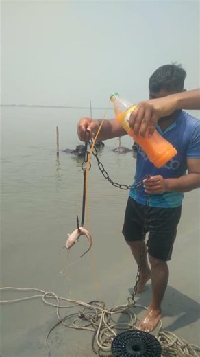 Episode 2 Fishing with catfish bait