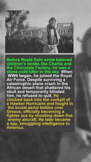 The Willy Wonka Author Who Shot Down Planes
