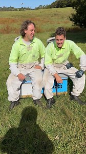 4.2K views · 32 reactions | We love seeing our beekeepers having fun whilst out and about, taking care of our bees  Here beekeeper Isaac and beekeeper David share their favourite bee facts! Did you know that bees dance to communicate? 勞 Northland #LiveFromTheHive | Manuka Health | Facebook