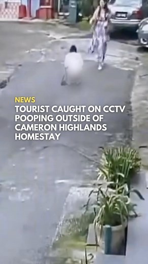 aaaa naemsaek … aaa disgorsting sheet 🤢 A woman, believed to be a tourist from China, was caught on CCTV defecating on the grounds of a homestay in Cameron Highlands in broad daylight. The indecent act was uploaded in a video to social media, drawing ire among the public. In a repost by X user @/anthraxxx781, the video has garnered close to two million views. Netizens were both perplexed and disgusted by the woman’s lack of hygiene and civic consciousness. While many Malaysians excused pooping 