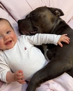 326K views · 11K reactions | These two will be best friend forever | Lessons Learned In Life | Facebook