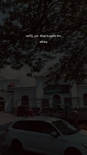 Emotional Journey of Solo Heartbreak