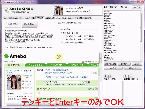 〔ブログ総合管理ツール〕アメーバキング2 公式販売サイト