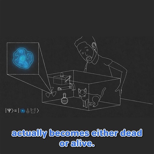 167K views · 2.6K reactions | Parallel Worlds Probably Exist. Here's Why... | Veritasium | Facebook